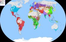 Отождествлять язык с политической принадлежностью - это абсурд