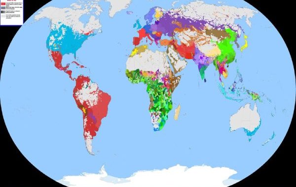 Отождествлять язык с политической принадлежностью - это абсурд