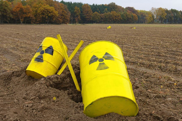 Приморцы победили «ядерных федералов»