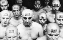 Биополитика как властный бастион