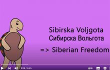 Далеко ли Сибирь от Силезии?
